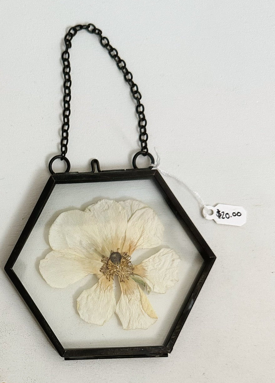 Hanging Pressed Floral - Hexagon